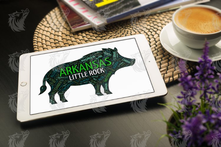 Personalized Arkansas Hog Word Art PNG