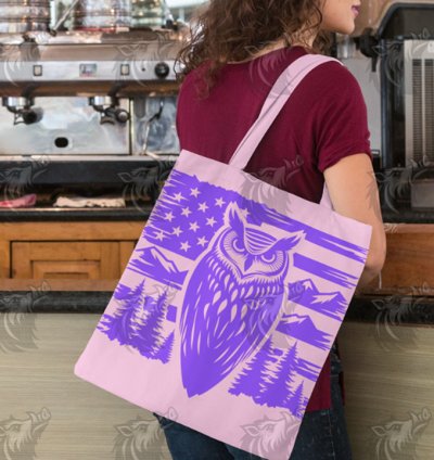 United States Owl Flag SVG